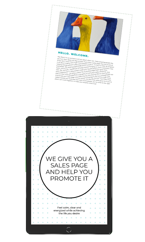Book mockup preview image